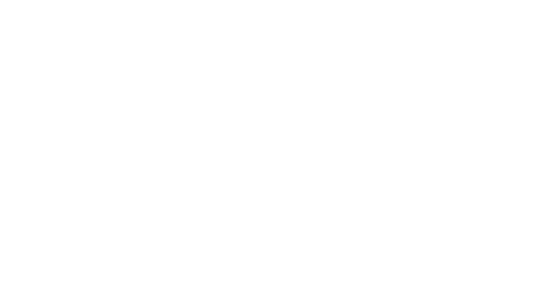 BluVegas